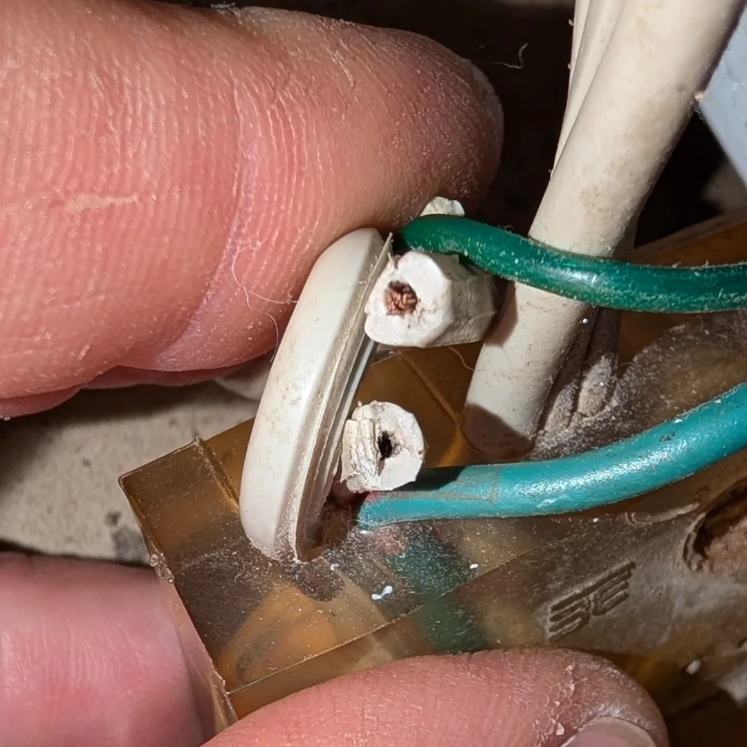 El cable del congelador: 34 años de vibración lo cortaron