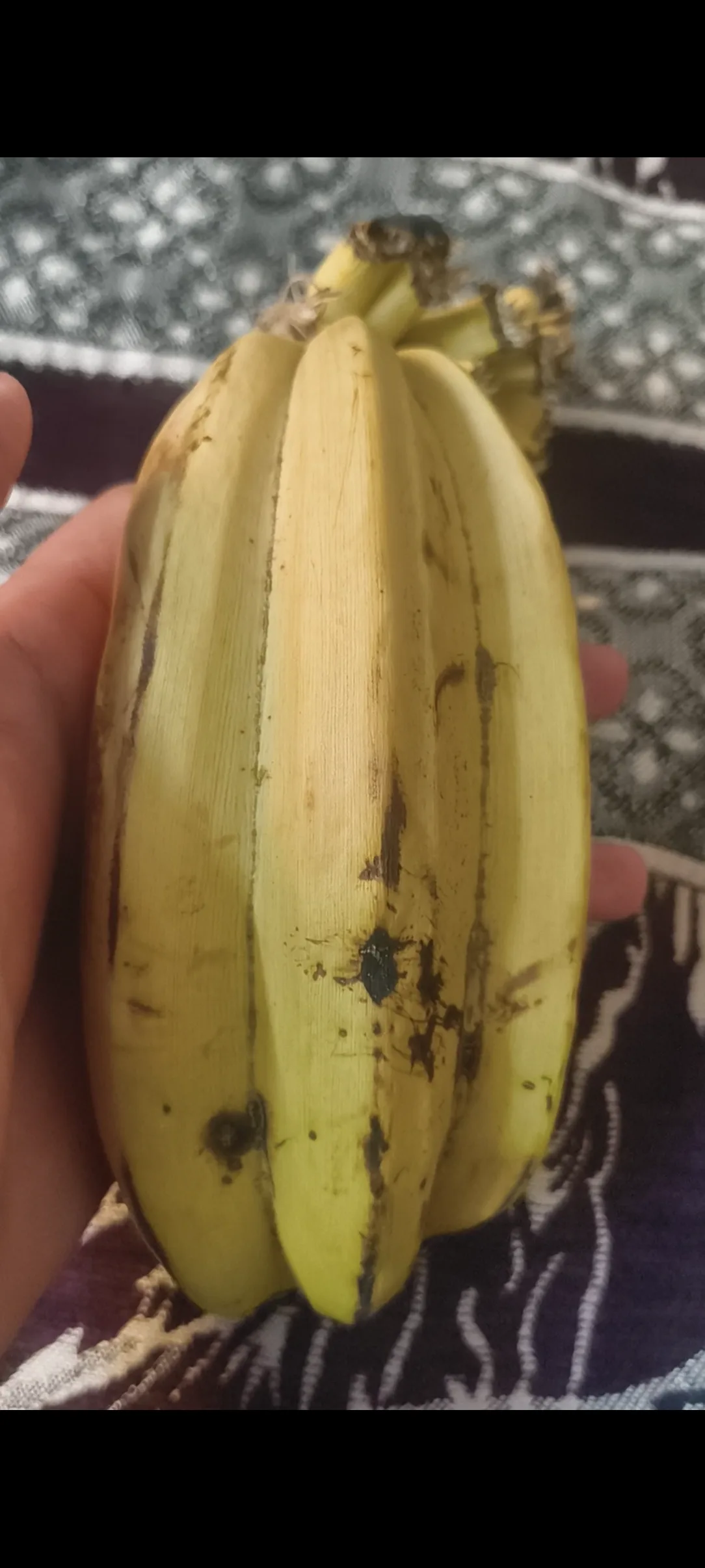 ¿Qué es la banana '3 en 1'? 🍌 Descubre esta fruta peculiar
