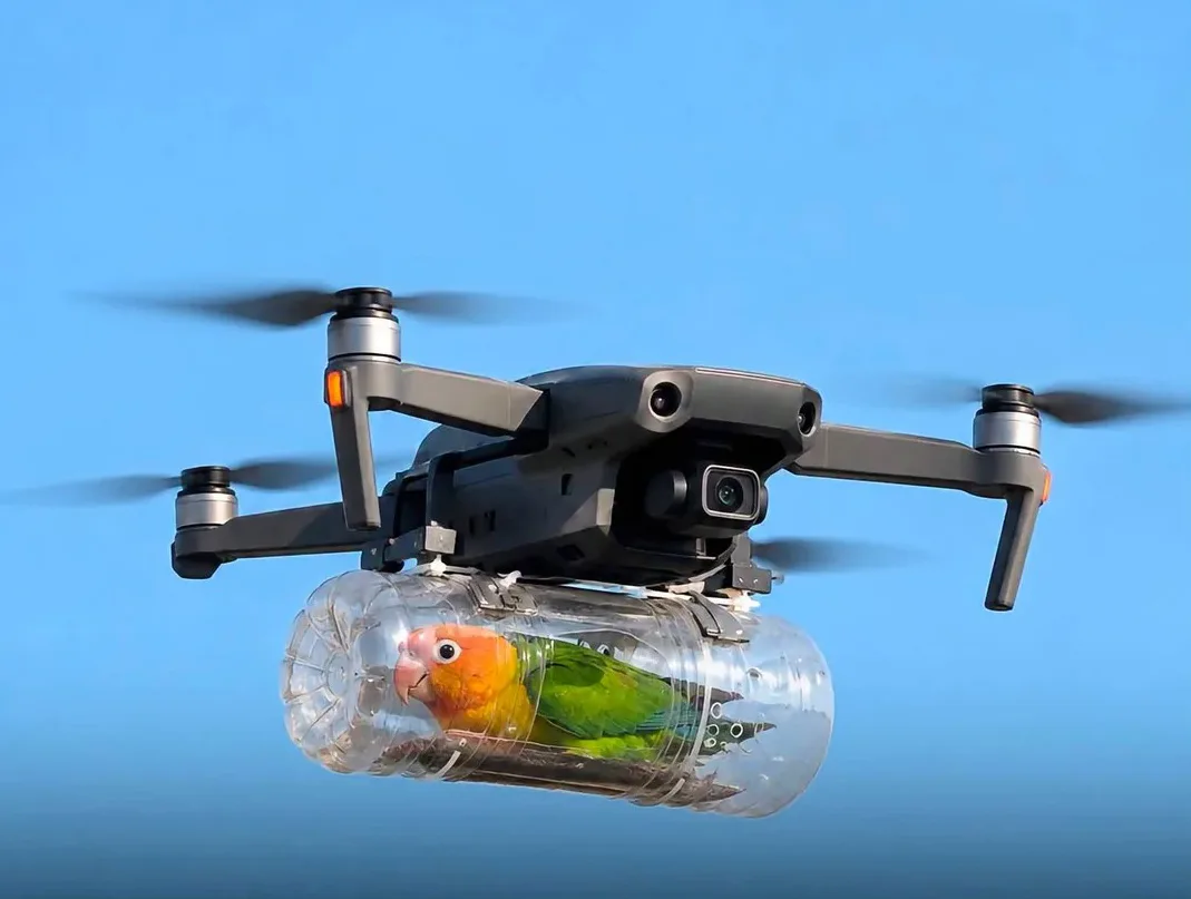 Un dron devuelve el cielo a su ave discapacitada 🐦